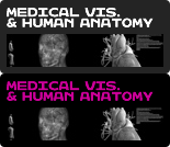 Medical Visualisation & Human Anatomy