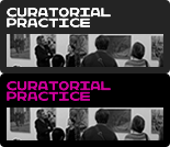 Curatorial Practice (Contemporary Art)